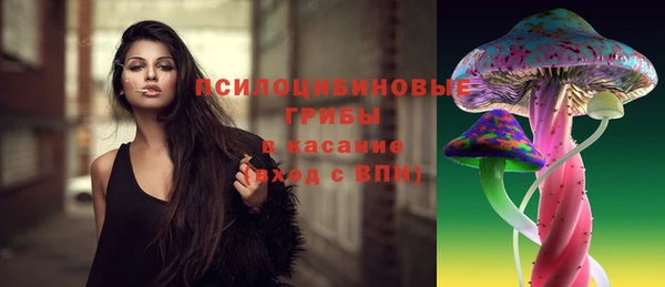 молекула духа Дубна