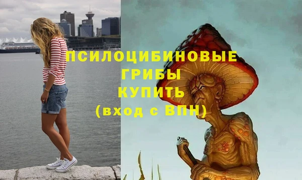 мяу мяу мука Абинск