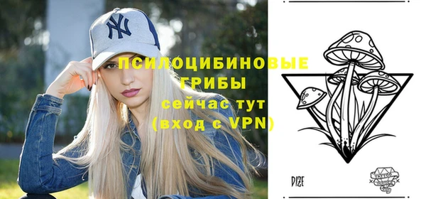 стаф Дрезна