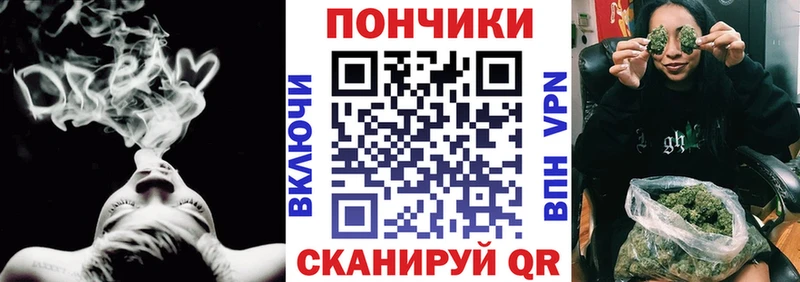 закладки  Иннополис  Каннабис индика 